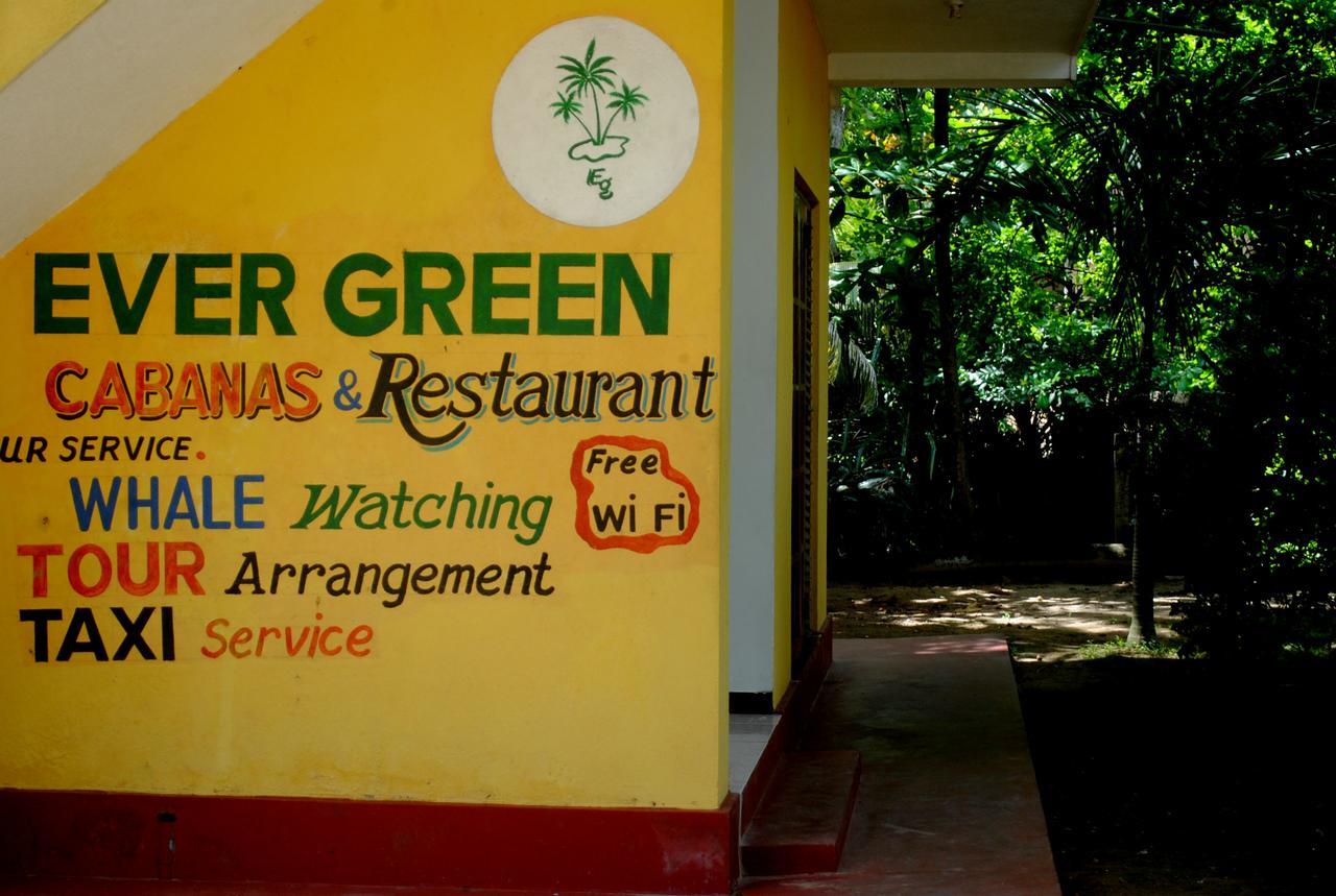 Ever Green Mirissa Eksteriør billede